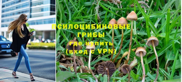 PSILOCYBIN Беломорск